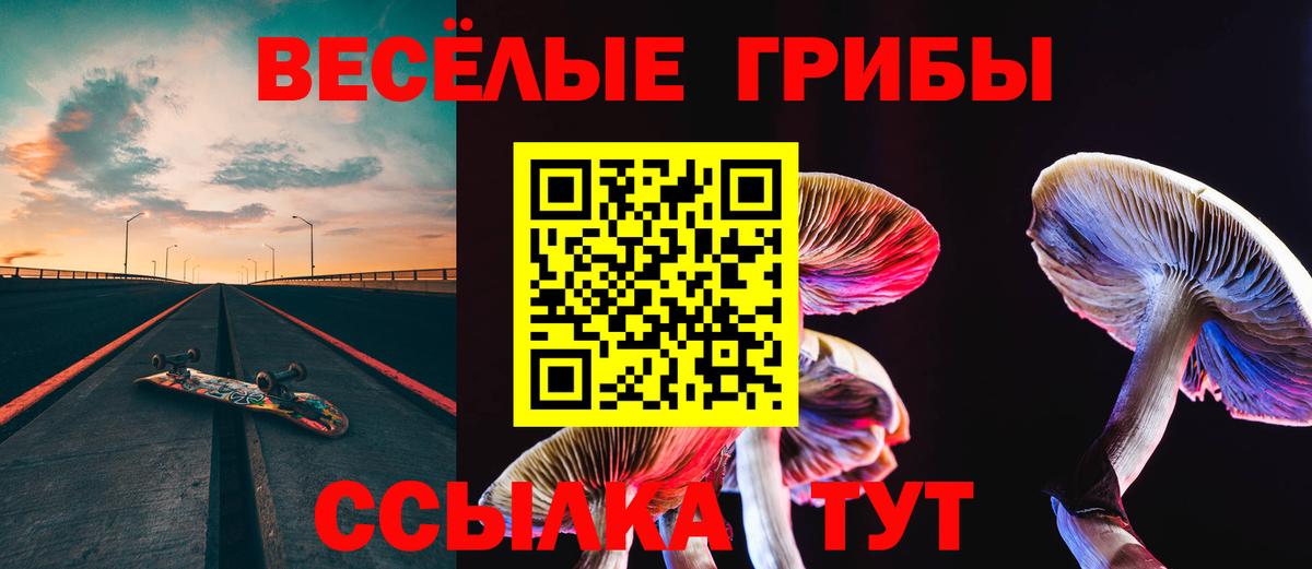Псилоцибиновые грибы Psilocybe  Галлюциногенные грибы мицелий  Омск  Вход с VPN 
